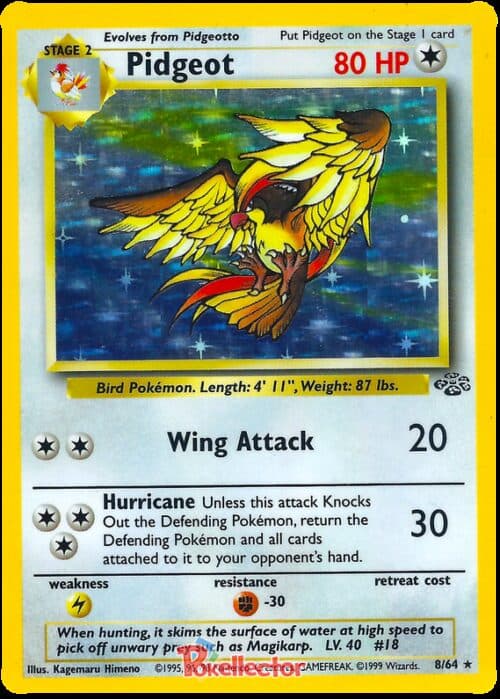Pidgeot Jungle 8/64
